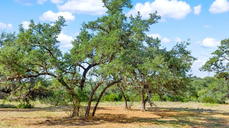 part of edmond ranch: 000 FM 32, Blanco, TX 78606
